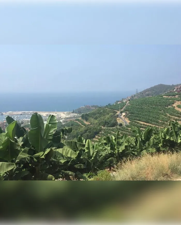 Alanya Tarım